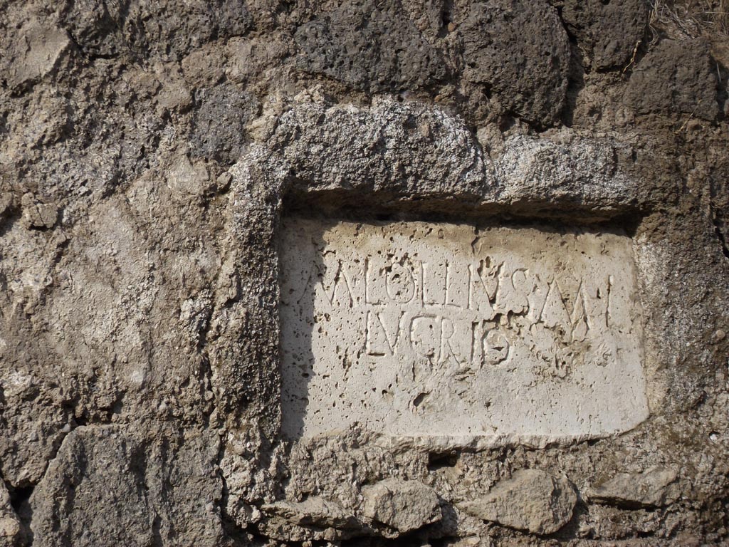 FPNI Pompeii. August 2011. Photo courtesy of Peter Gurney.
Plaque on east end of south side with inscription:
M. LOLLIVS M L 
LVCRIO.