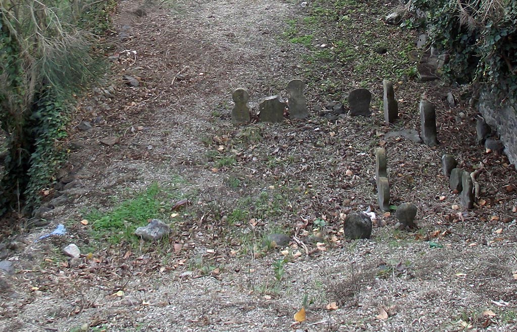 FPSA Pompeii. August 2011. Looking east along rear of tomb. Photo courtesy of Peter Gurney.
The tomb area had four columellae (in foreground, now buried) in a line north (left in this photograph) to south.
According to D’Ambrosio and De Caro, at the north end was an inscribed marble columella.
L NONIVS
CELER VIXIT
ANNVM ET ME
SES QVATOR
They expanded this to
L(ucius) Nonius
Celer Vixit
Annvm Et Me(n)
ses Quat(tu)or
South of this was a second taller inscribed columella
 
A STATIVS
MOSCHUS
They expanded this to
A(ulus) Statius
Moschus
The third columella was not inscribed.
The southmost columella was facing north
HYGIA
VIX AN XVI
They expanded this to
Hygia
Vix(it) an(nis) XVI
See D’Ambrosio A. and De Caro S., 1988. Römische Gräberstraßen. München: C. H. Beck. p. 216, taf. 35e-g.