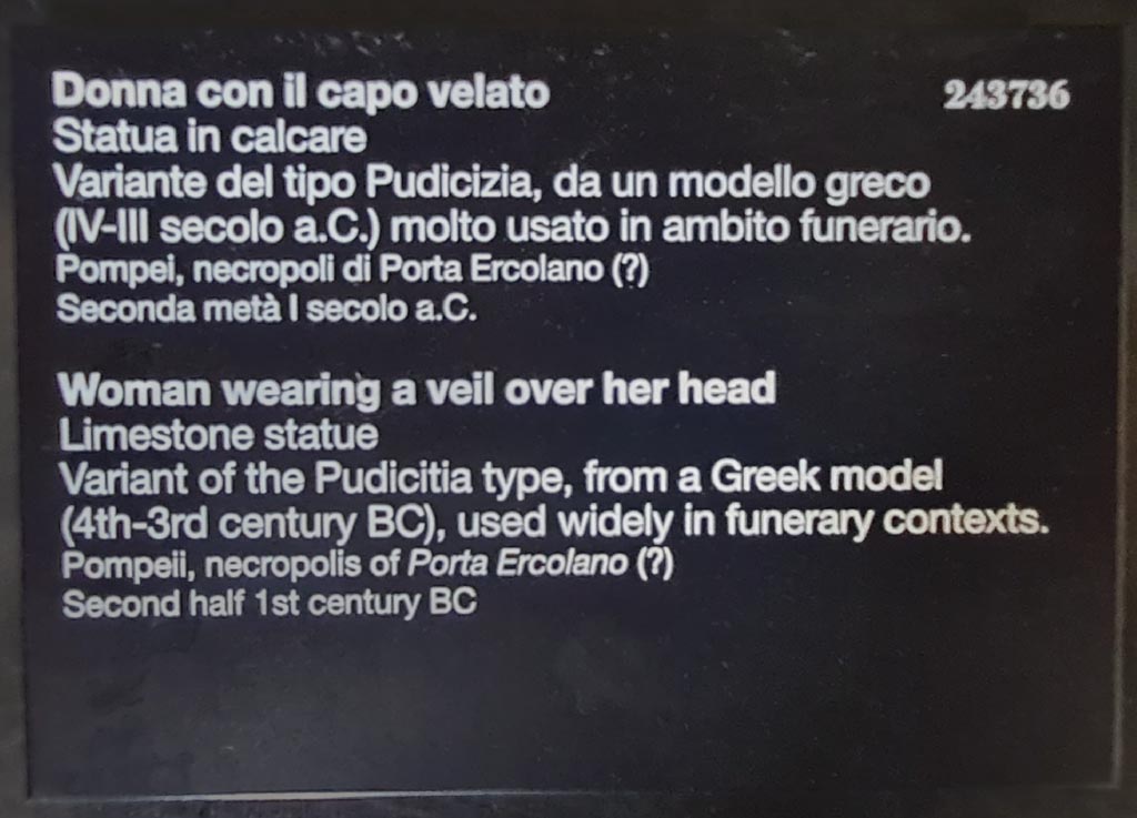 HGE39 Pompeii. April 2023. 
Descriptive card for inv. 243736 from “Campania Romana” gallery in Naples Archaeological Museum. Photo courtesy of Giuseppe Ciaramella.