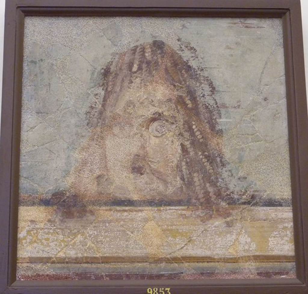 HGW04 Pompeii. Schola Tomb of Mamia, wall painting of mask. Found 2nd July 1763 on the north wall of the enclosure separating HGW04 from HGW04a. Now in Naples Archaeological Museum.  Inventory number 9853. See Pagano, M. and Prisciandaro, R., 2006. Studio sulle provenienze degli oggetti rinvenuti negli scavi borbonici del regno di Napoli. Naples : Nicola Longobardi.  (p. 44). According to Allroggen-Bedel, all of the above three paintings were found in the same room in VI.17.9-10.
See Allroggen-Bedel A, Die malereien aus dem Haus Insula Occidentalis 10, In Cronache Pompeiane, II, 1976 (p. 147-8).