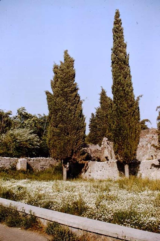 Via dei Sepolcri, (north end). Pompeii. 1964. Area on north side of Villa of Diomedes.
Photo by Stanley A. Jashemski.  
Source: The Wilhelmina and Stanley A. Jashemski archive in the University of Maryland Library, Special Collections (See collection page) and made available under the Creative Commons Attribution-Non Commercial License v.4. See Licence and use details.
J64f1831