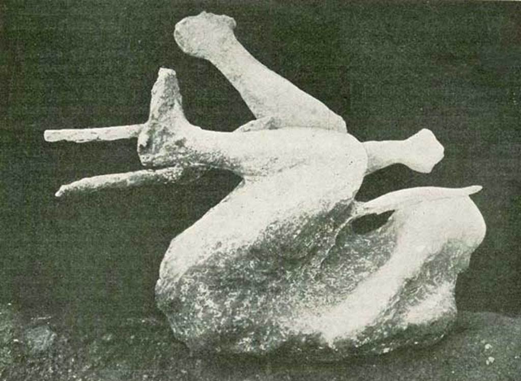 NGG Pompeii. 1912 photo of a cast made in 1911 of a man found holding a tree branch. 
It is presumed the victim was climbing the tree to try to escape his fate.
The body was found 15.5m from the south-east corner of the enclosure on the side of the schola tomb.
See Notizie degli Scavi di Antichità, 1911, p. 459-460, fig. 2.
Photo courtesy of Rick Bauer.