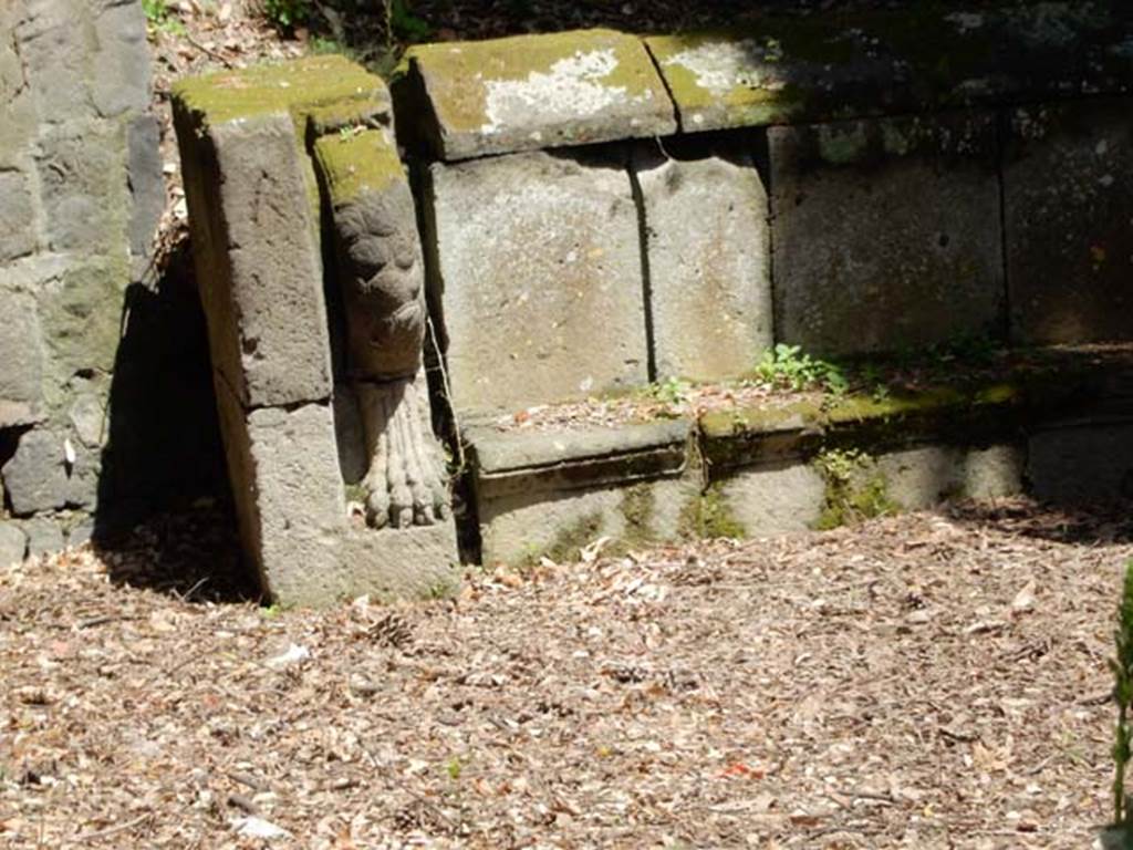 NGH Pompeii. May 2011. Schola tomb north-west end with lion paw. 
Photo courtesy of Buzz Ferebee.