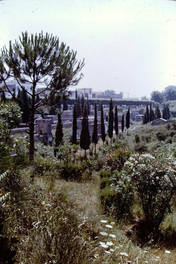 Pompeii Porta Nocera tombs. 1968. Looking south-west across Via delle Tombe. Photo by Stanley A. Jashemski.
Source: The Wilhelmina and Stanley A. Jashemski archive in the University of Maryland Library, Special Collections (See collection page) and made available under the Creative Commons Attribution-Non Commercial License v.4. See Licence and use details.
J68f0520