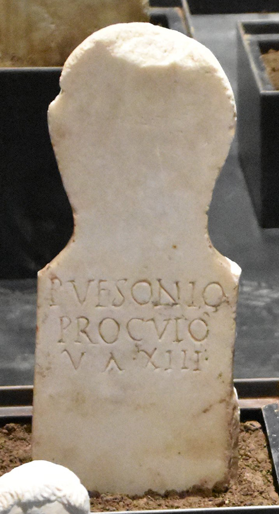 Pompeii Porta Nocera. Tomb 23OS. March 2024. Marble columella of Publius Vesonius Proculus.
P(ublio) VESONIO / PROCVLO / V(ixit) A(nnis) XIII.
Publius Vesonius Proculus Vixit Annis XIII.
On display in exhibition “L’altra Pompei, vite comuni all’ombra del Vesuvio”.
Photo courtesy of Giuseppe Ciaramella.
