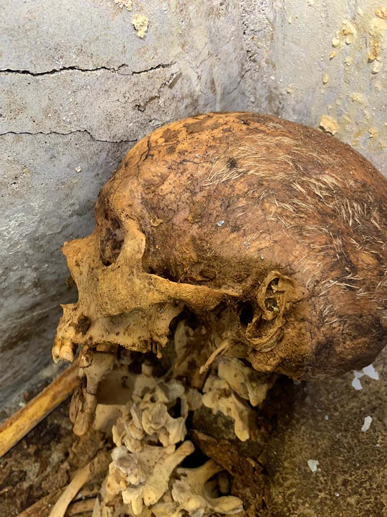 Porta Sarno la tomba di Marcus Venerius Secundio. August 2021. Skull of skeleton showing remains of hair.
Cranio di scheletro che mostra resti di capelli.
Photograph © Parco Archeologico di Pompei.