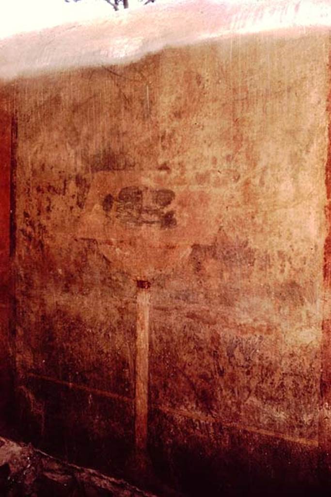 VGJ Pompeii. 1961. Inner side of east wall of tomb with garden scene.  Photo by Stanley A. Jashemski.
Source: The Wilhelmina and Stanley A. Jashemski archive in the University of Maryland Library, Special Collections (See collection page) and made available under the Creative Commons Attribution-Non Commercial License v.4. See Licence and use details.
J61f0421