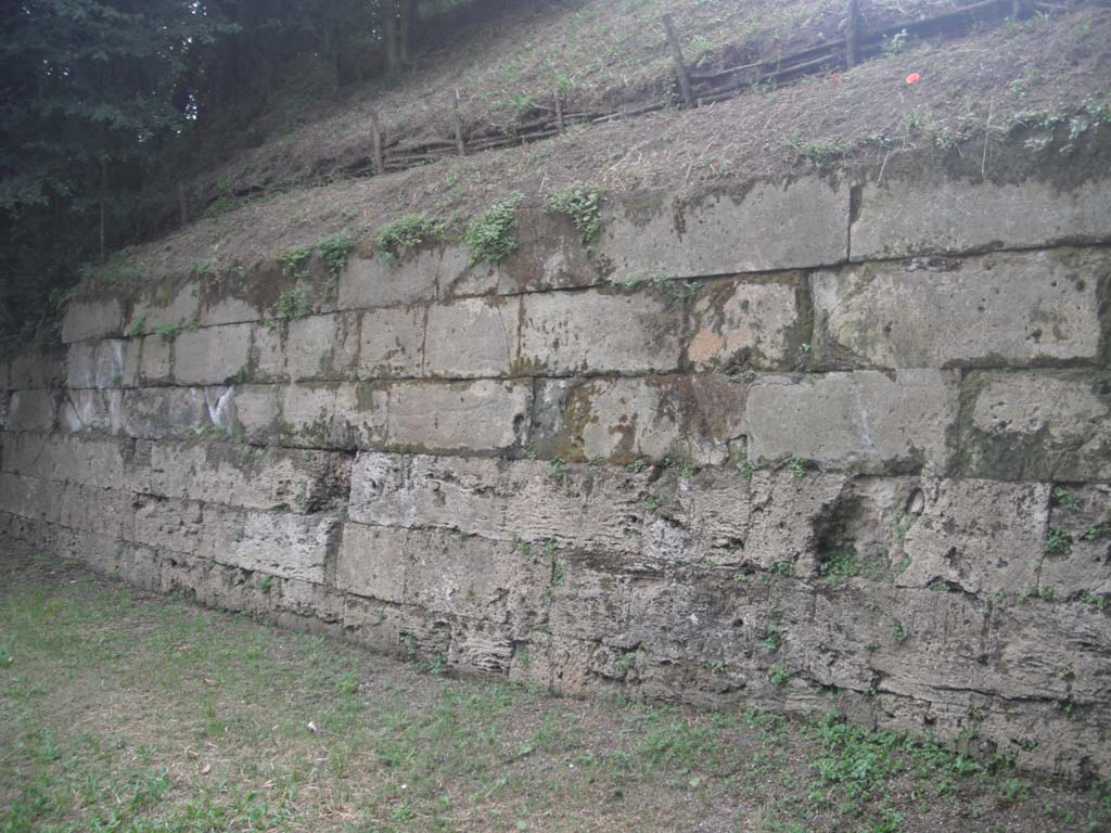 Tombs PSPN Pompeii. May 2011. Section of wall with inscription to Alleia Calaes alleia Numphe 3 blocks from right in second row down. 
Photo courtesy of Ivo van der Graaff.