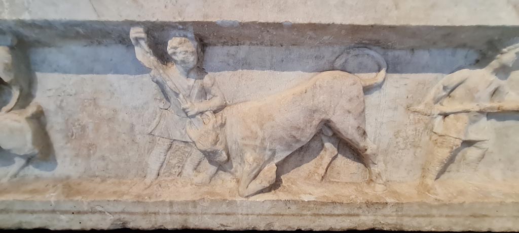 SG6 Pompeii. April 2023. Detail of venatio or staged hunt from lower row. Photo courtesy of Giuseppe Ciaramella.