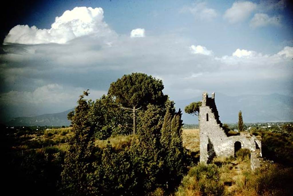 Tower X, Pompeii. Looking north-east along the city walls towards the west side of the tower. 1959. Photo by Stanley A. Jashemski.
Source: The Wilhelmina and Stanley A. Jashemski archive in the University of Maryland Library, Special Collections (See collection page) and made available under the Creative Commons Attribution-Non Commercial License v.4. See Licence and use details.
J59f0594