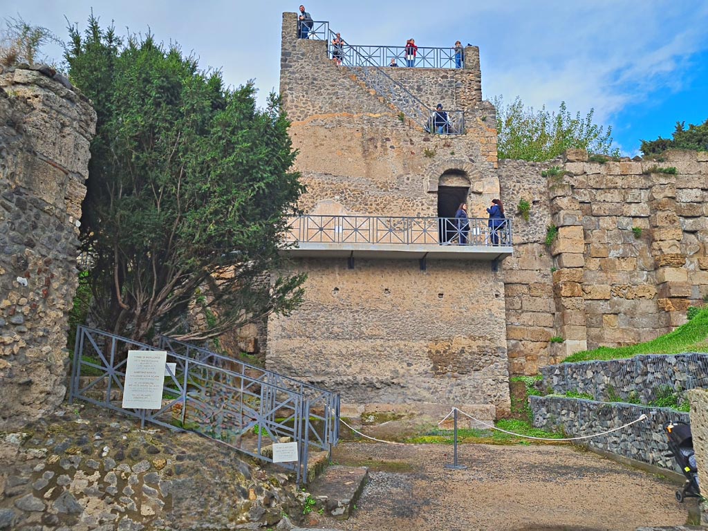 Tower XI and Town Walls at end of Via di Mercurio, Pompeii. November 2023. Looking north. Photo courtesy of Giuseppe Ciaramella.