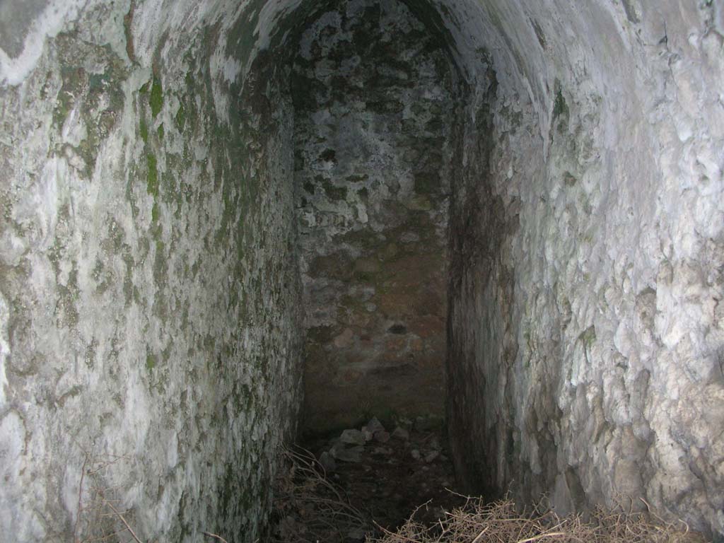 Tower XII, Pompeii. May 2010. 
Looking towards north end of passageway/corridor from entrance doorway. Photo courtesy of Ivo van der Graaff.