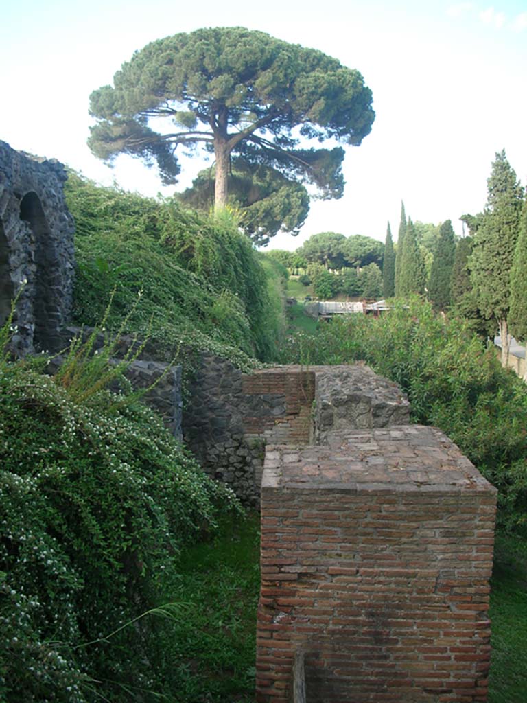 Tower II, Pompeii. May 2010. 
Looking east towards west side and along south side. Photo courtesy of Ivo van der Graaff.
According to Van der Graaf –
“Tower II on the south side of the city displays radical alterations to its original structure. 
Today, only the lower chamber remains which, judging from the clear seams in the masonry, includes some modern restorations in the upper portion. Enough of the ancient masonry survives to confirm that the tower featured brickwork laid in regularly spaced toothed quoins, in a technique adopted and perfected in the first century BCE. Unless the tower was built later than previously assumed, the masonry indicates that the building was heavily restored after the siege. The unusual floating postern on its western flank – sitting some 2 metres above the level of 79 CE – points to a drastic lowering of the surrounding terrain in antiquity. Equally unusual are the rectangular openings in the façade and back wall of the main chamber. Assuming that the modern reconstruction is largely correct, the colonial restorations of the tower radically changed its function. (See separate discussion in Chapter 6).”
See Van der Graaf, I. (2018). The Fortifications of Pompeii and Ancient Italy. Routledge, (p.132)