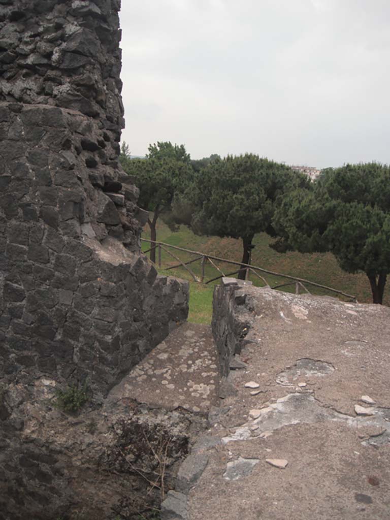 Tower V, Pompeii. May 2011. 
Detail from north wall in north-east corner of main chamber. Photo courtesy of Ivo van der Graaff.