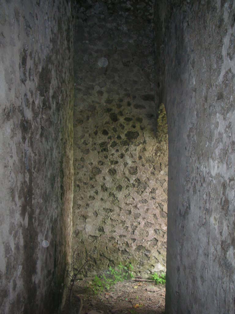 Tower VII, Pompeii. May 2010. 
Looking north along corridor leading to vaulted doorway into main chamber. Photo courtesy of Ivo van der Graaff.