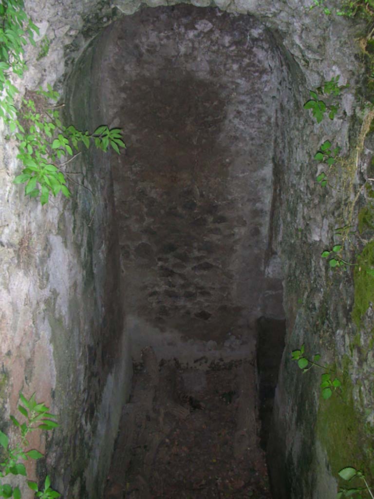 Tower VIII, Pompeii. May 2010. Interior. Photo courtesy of Ivo van der Graaff.
According to Van der Graaff –
“Tower VIII is in an equally ruined state, rising no farther that its lower main chamber and the staircase leading down from the first floor.
It stands out because the ruins still preserve most of their plaster coating. The chamber shows sign of alteration and demilitarization.
Later masonry partially fills in the arrow slits in an effort to make them smaller. Extra plaster applied on the exterior masked the alterations.
On the interior, white plaster frames indicate that the windows also functioned in their previous unaltered state. Workers also walled up the postern and covered the exterior with plaster to hide the modification. Earthquake debris dumped in front of the postern supply a terminus ante quem of 62 CE for its closure. The earthquake subsequently damaged the building. It effectively ceased to function when a shabby concrete wall closed off the staircase to the main chamber from the city side. A few fragments of the tower, recovered in volcanic debris, indicate that parts of the ruined building still stood at the time of the eruption.   …………” (See Note 101).
See Van der Graaff, I. (2018). The Fortifications of Pompeii and Ancient Italy. Routledge, (p.134).