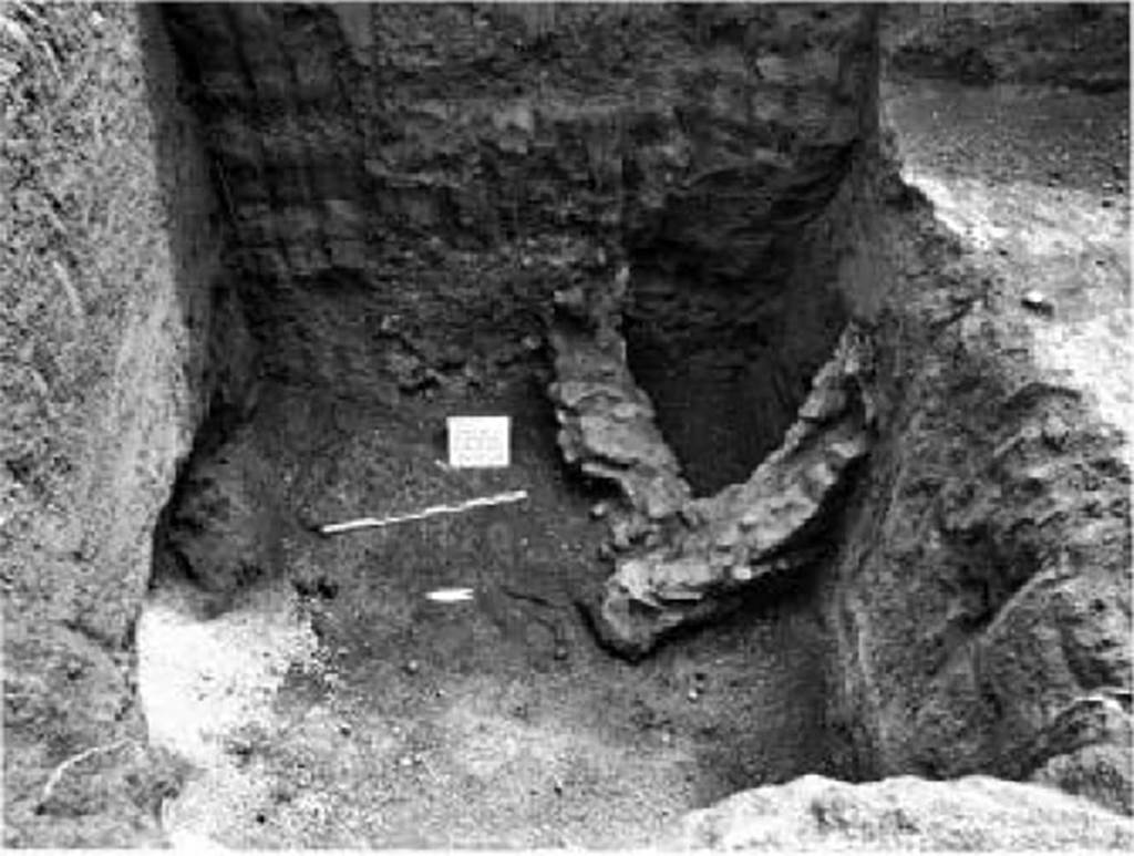 Gragnano. Via dei Sepolcri. 2008. Remains of villa rustica. Second trench that highlighted the angle that wall H made with the other wall (N) which ran towards the east.
Resti della villa rustica. Secondo saggio che ha evidenziato l'angolo che il muro H fatto con l'altro muro (N) che correva verso est.
Vedi/See Bonifacio G., Ufficio Scavi di Stabia Notiziario 2008, in Rivista di Studi Pompeiani, 20, 2009, p. 158, fig. 4.