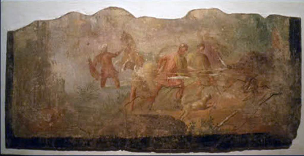 Gragnano. Rustic villa by the Strada Statale 145 Sorrentina. Room 4, triclinium, centre of south wall. Boar Hunt. 
Possibly repeating the mythical scene of Meleager hunting the boar.
Stabia Antiquarium inventory number 66656. See Otium Ludens, curated by Guzzo, P, Bonifacio, G, and Sodo, A.M. (2007). Castellammare di Stabia: Nicola Longobardi, p. 174.
