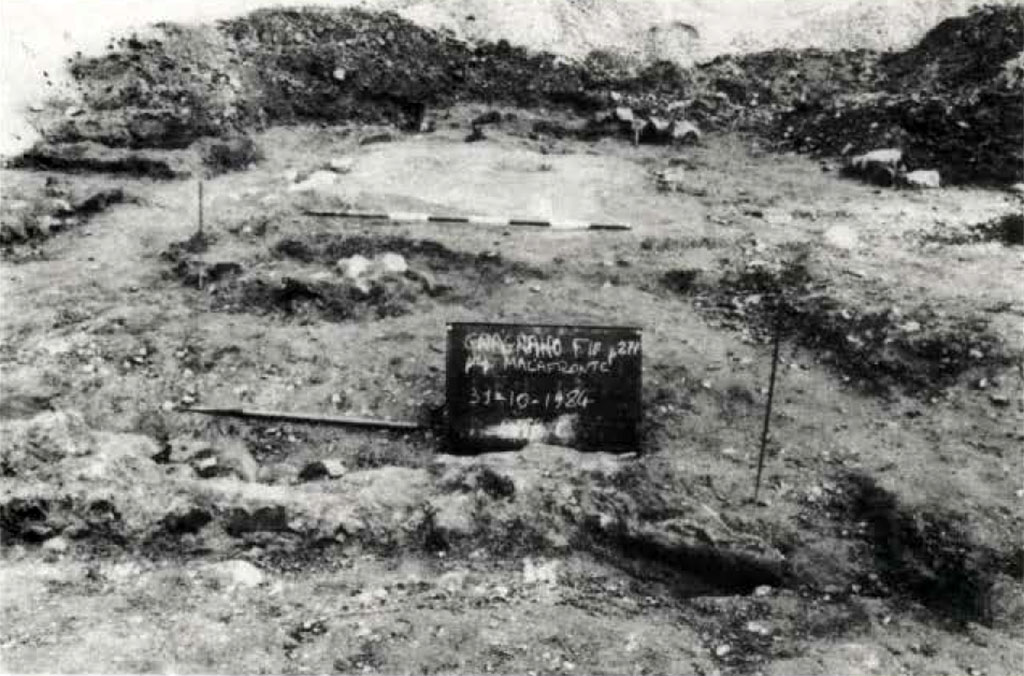 Gragnano proprietà Malafronte. 1984. Fig. 2. Particolare dello strato di abbandono.
Gragnano proprietà Malafronte. 1984. Fig. 2. Detail of the abandonment layer.
Vedi/See Miniero P., Di Giovanni V., Gasperetti, G. Insediamenti di età repubblicana nell' ager Stabianus in Rivista di Studi Pompeiani V, 1991-2, p 20 fig. 2.