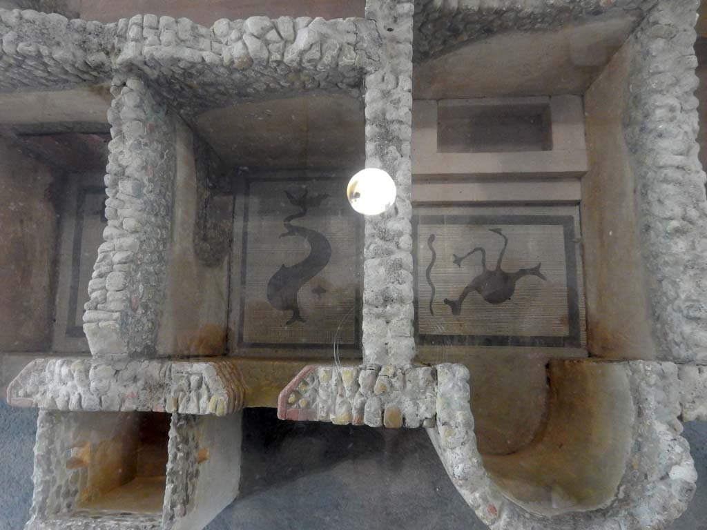 Villa della Pisanella, Boscoreale. May 2018. Apodyterium M, Tepidarium N, Calidarium O with apse and bath. Model in Boscoreale Antiquarium. 
Photo courtesy of Buzz Ferebee.