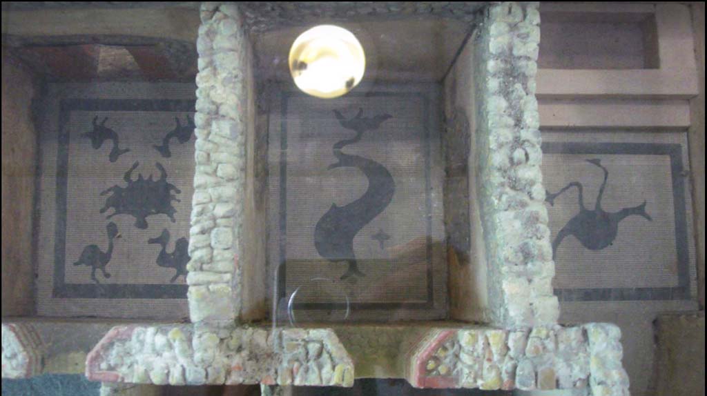 Villa della Pisanella, Boscoreale. May 2018. Mosaic floors in Apodyterium M, Tepidarium N, Calidarium O. Model in Boscoreale Antiquarium.