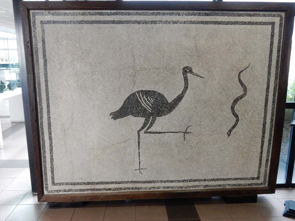 Boscoreale, Villa della Pisanella. May 2018. Calidarium O. Mosaic floor with double black band round edge and stork advancing towards a serpent. 
Now in Boscoreale Antiquarium. Photo courtesy of Buzz Ferebee.