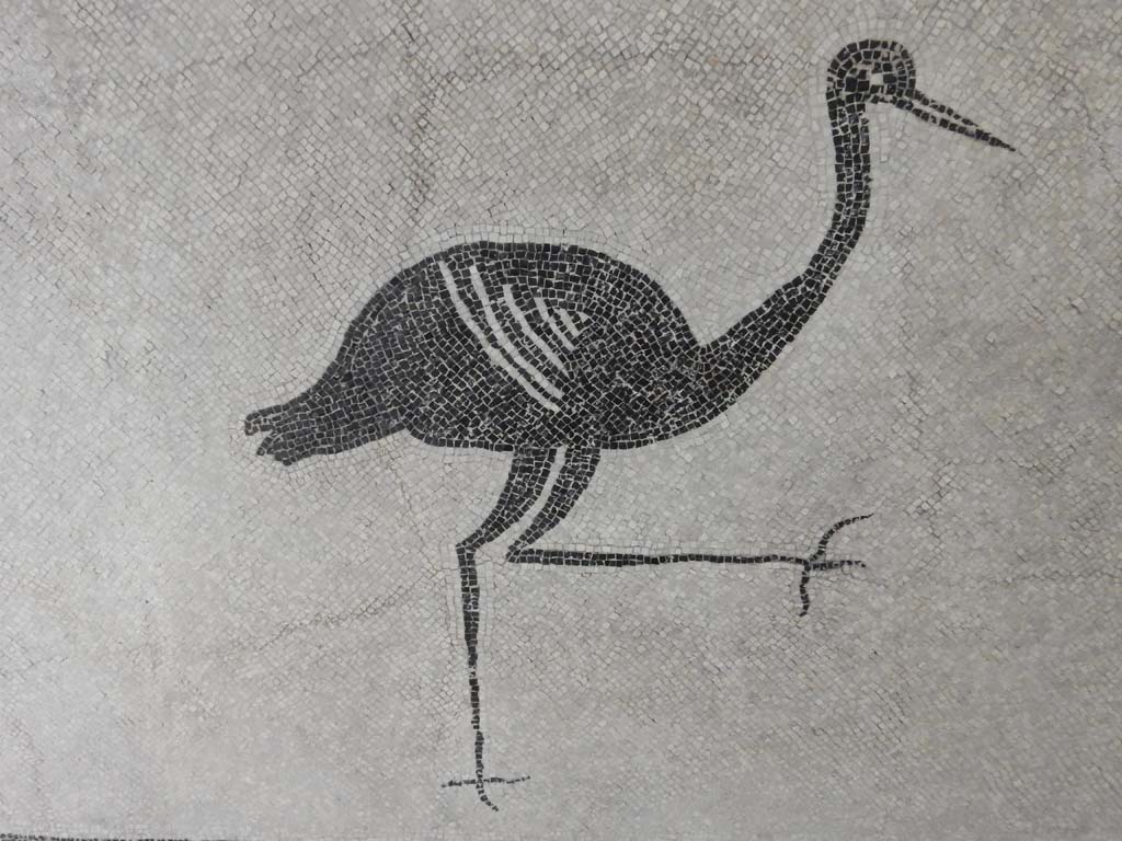 Boscoreale, Villa della Pisanella. May 2018. Calidarium O. Mosaic floor with detail of stork. 
Now in Boscoreale Antiquarium. Photo courtesy of Buzz Ferebee.