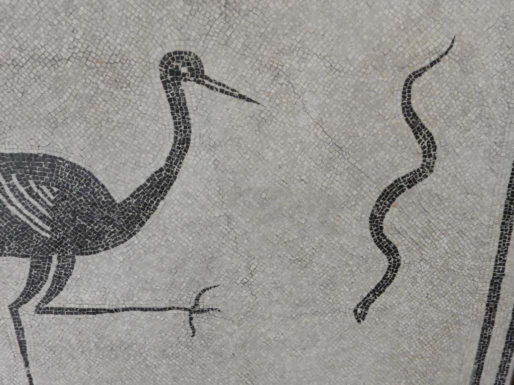 Boscoreale, Villa della Pisanella. May 2018. Calidarium O. Mosaic floor with detail of serpent. 
Now in Boscoreale Antiquarium. Photo courtesy of Buzz Ferebee.