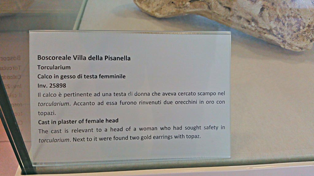 Villa della Pisanella, Boscoreale. December 2018. 
Torcularium P, information card from Boscoreale Antiquarium. Photo courtesy of Giuseppe Ciaramella.