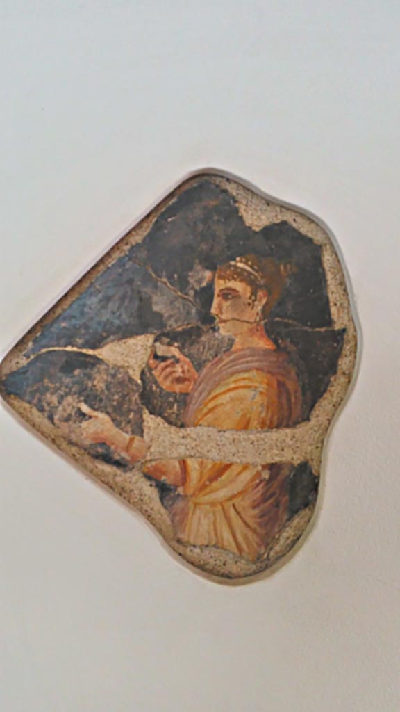 Villa della Pisanella, Boscoreale. December 2018.
Upper floor, fresco with black background. Photo courtesy of Giuseppe Ciaramella.