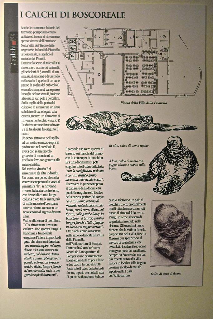 Villa della Pisanella, Boscoreale. July 2010. Boscoreale Antiquarium card with information about casts.
Photo courtesy of Michael Binns.