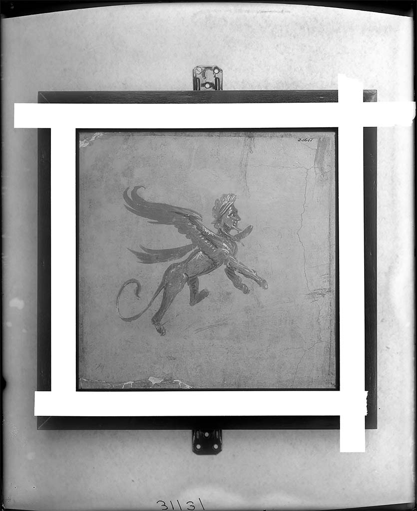 Villa della Pisanella, Boscoreale. Fresco fragment. Decorative figure of a winged male sphinx monster flying upward to right. Lion and human figure with a wide collar possibly to represent mane, cap with feather plumes, wedge shaped beard.
Photo © Field Museum of Natural History - CC BY-NC.
Now in the Field Museum, inventory number 24647. See in Field Museum