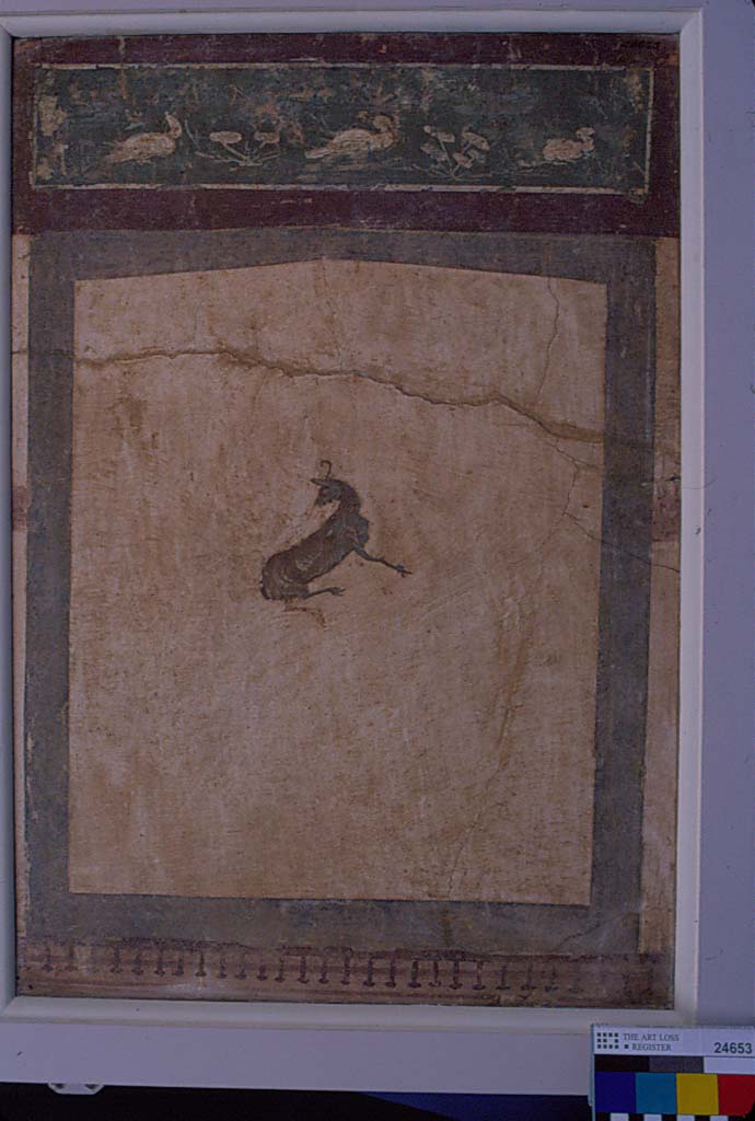 Villa della Pisanella, Boscoreale. Fresco fragment. Decorative compartment with border and top piece detached from a white ground. 
Design figure of a deer gazing backwards. Dimensions 2 feet 3 inches x 1 foot 7 inches
Photo © Field Museum of Natural History - CC BY-NC.
Now in the Field Museum, inventory number 24653. See in Field Museum