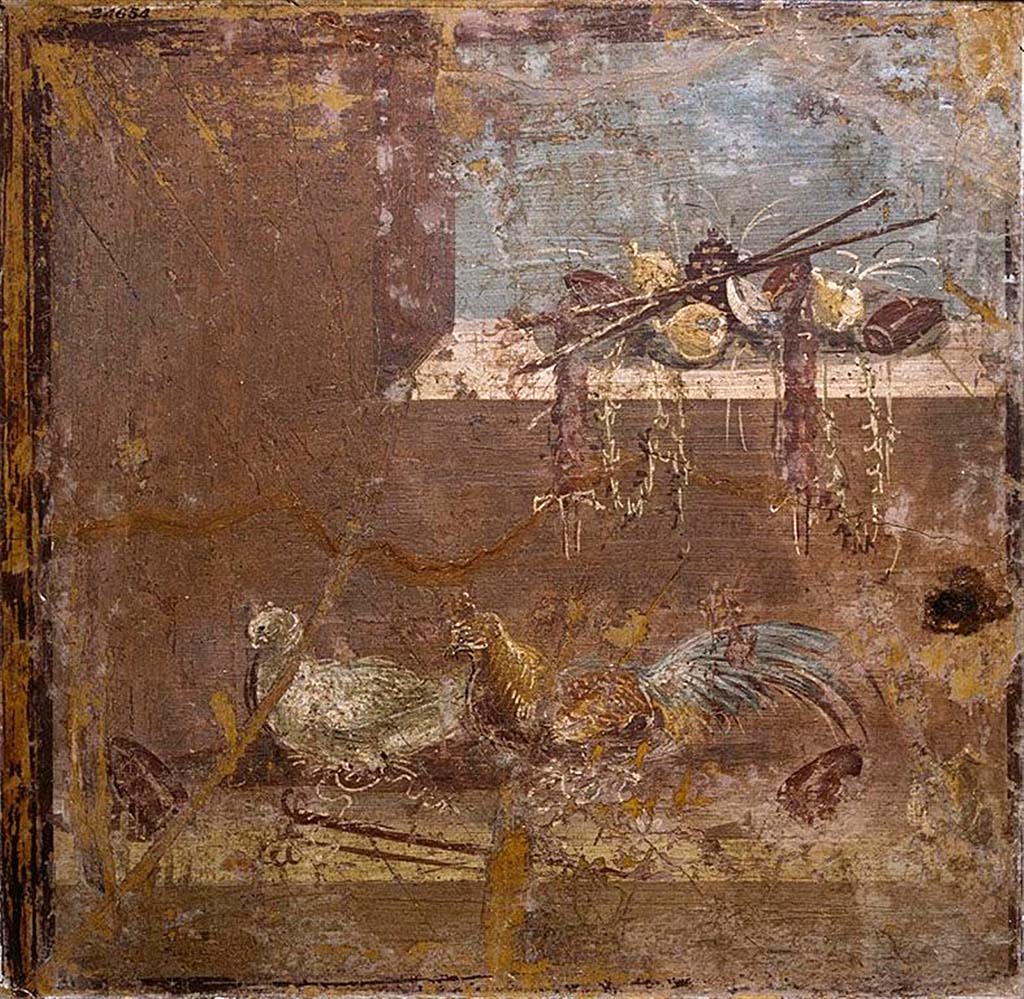 Villa della Pisanella, Boscoreale. Fresco fragment. Small decorative compartment showing an interior with a window. Pine cone, fungus, wreaths, plants.
According to de Cou, on the window-sill there is a heap of objects of somewhat uncertain character lying on an elliptical drab mat. 
The following is an enumeration of them:
2 large brown platters with sloping sides.
3 yellow objects, probably gourds.
1 tall slender brown jug lying on its side.
2 brown staves lying crossed on top of the preceding objects. They seem to be made of grapevine, which is untwisted at one end.
2 brown objects hanging from near opposite ends of one of the staves, perhaps the bodies or skins of small animals (not hares), perhaps sausages.
I large pine cone.
1 grayish object resembling a fungus.
2 wreaths, consisting of hoop and straight end, in brownish white. They hang over the edge of the sill.
Several plants with tall slender whitish leaves. Some of them rise above the heap, others hang over the inner edge of the sill.
Beneath the window there is a rather broad ledge or floor which is white in the foreground, brownish red at the left end and light brown at the back, where it is not very clearly distinguished from the front upright wall. On this floor there are several objects.
At the left a large whitish and greenish gray bird, perhaps a female pheasant, seems to be sitting on a sort of nest. 
Next to her on the right there is a corresponding male bird painted in a variety of colors.
In the foreground there are two staves like those in the window-sill, and the spiral end of a third.
At the left end of the white part of the. floor there is a reddish brown platter, somewhat larger than those described above, tilted against the wall. 
At the right of the male bird there is an uncertain object in reddish brown, perhaps a vase. 
In the extreme right corner of the floor there is a reddish brown pitcher with base, handle and long curved beak, lying on its side.
See De Cou F. Antiquities from Boscoreale in Field Museum Of Natural History (January 1, 1912), p. 168.
Photo © Field Museum of Natural History - CC BY-NC.
Now in the Field Museum, inventory number 24654. See in Field Museum.