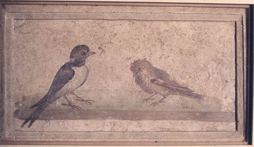 Villa rustica del fondo Ippolito Zurlo, Pompeii. Room C cubiculum, east wall, centre panel. 
Painting with a swallow and a sparrow or hoopoe (?).
Photo © Trustees of the British Museum. Inventory number 1899.2-15.5.
See Swallow and sparrow wall painting  at britishmuseum.org