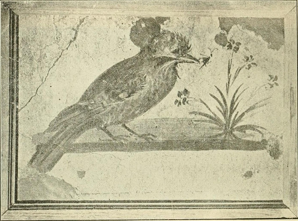 Villa rustica del fondo Ippolito Zurlo, Pompeii. 1897, room C cubiculum, south wall. 
According to Sogliano, in the south or rear wall, was another picture with the representation of a speckled bird pecking at a flowering plant.
See Notizie degli Scavi di Antichità, 1897, p. 398, fig. 6.
