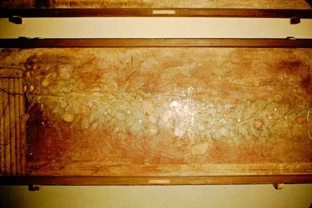 Villa of P. Fannius Synistor at Boscoreale. 1957. Peristyle E, south end of west wall.
Fruit and leaf garland painting with Corinthian column.
Now in Naples Archaeological Museum.  Inventory number s.n. 2.
Photo by Stanley A. Jashemski.
Source: The Wilhelmina and Stanley A. Jashemski archive in the University of Maryland Library, Special Collections (See collection page) and made available under the Creative Commons Attribution-Non Commercial License v.4. See Licence and use details.
J57f0503