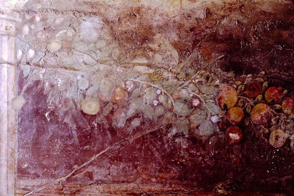 Villa of P. Fannius Synistor at Boscoreale. 1968. Peristyle E, south end of west wall.
Fruit and leaf garland painting with Corinthian column (Left hand end)..
Now in Naples Archaeological Museum. Inventory number s. n. 2. 
Photo by Stanley A. Jashemski.
Source: The Wilhelmina and Stanley A. Jashemski archive in the University of Maryland Library, Special Collections (See collection page) and made available under the Creative Commons Attribution-Non Commercial License v.4. See Licence and use details.
J68f0806