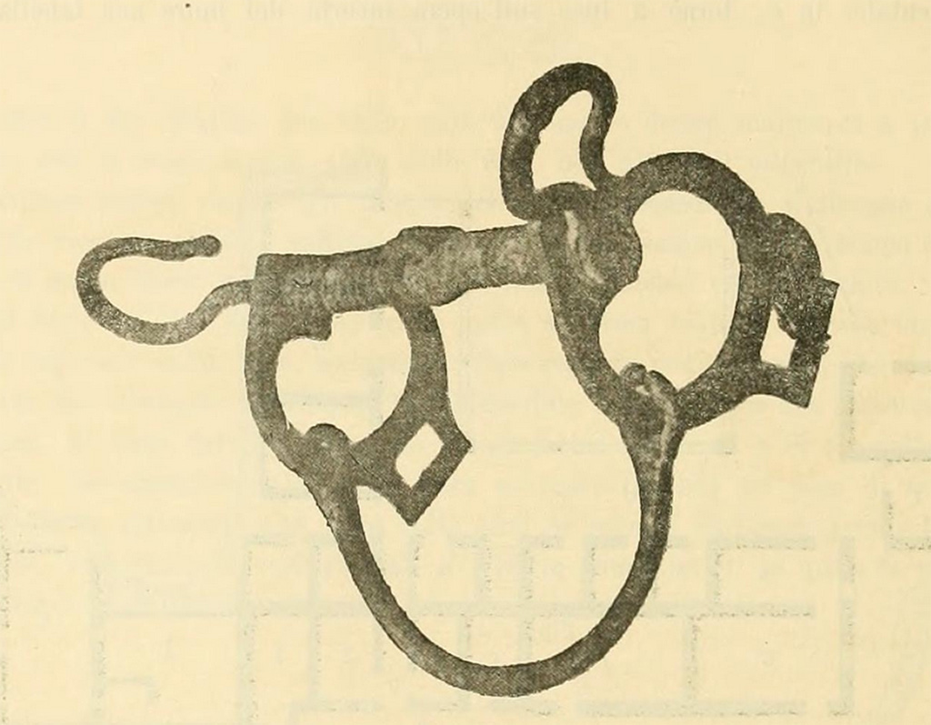 Villa of T. Siminius Stephanus, fondo Masucci-D'Aquino. 3rd July 1897. Bronze horse fittings found in room B.
See Notizie degli Scavi di Antichità, 1898, fig.2, p. 496.
Now in Naples Archaeological Museum.