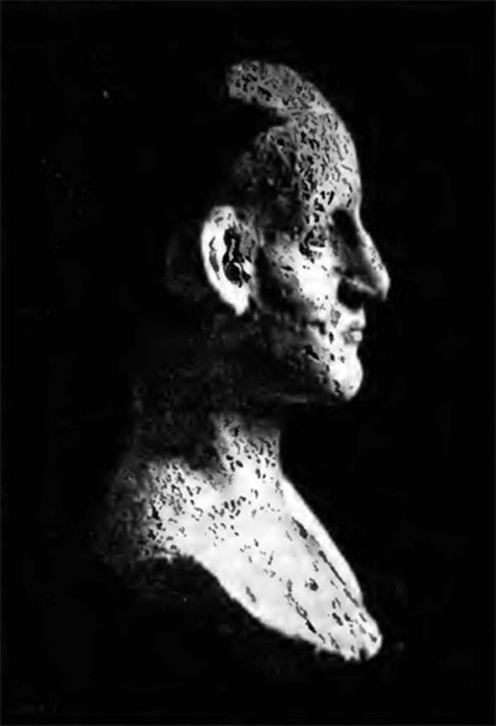 Villa of T. Siminius Stephanus, fondo Barbatelli. November 1899. Side view of stucco male head. See Notizie degli Scavi di Antichità, 1899, p. 447, fig. 8b.