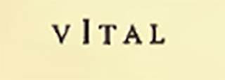 Boscoreale, Villa rustica in fondo D’Acunzo.
Under the base of a wine amphora, was a stamp/mark in raised letters, enclosed in a rectangle with rounded corners.
This read:
VITAL
See Notizie degli Scavi di Antichità, 1921, p. 441.