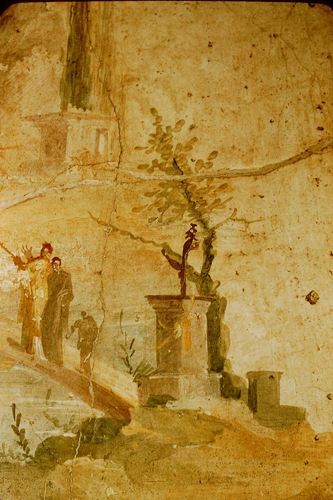 Villa of Agrippa Postumus. Boscotrecase. 1957. Room 16, detail from painting in centre of north wall. 
Photo by Stanley A. Jashemski.
Source: The Wilhelmina and Stanley A. Jashemski archive in the University of Maryland Library, Special Collections (See collection page) and made available under the Creative Commons Attribution-Non Commercial License v.4. See Licence and use details.
J57f0510