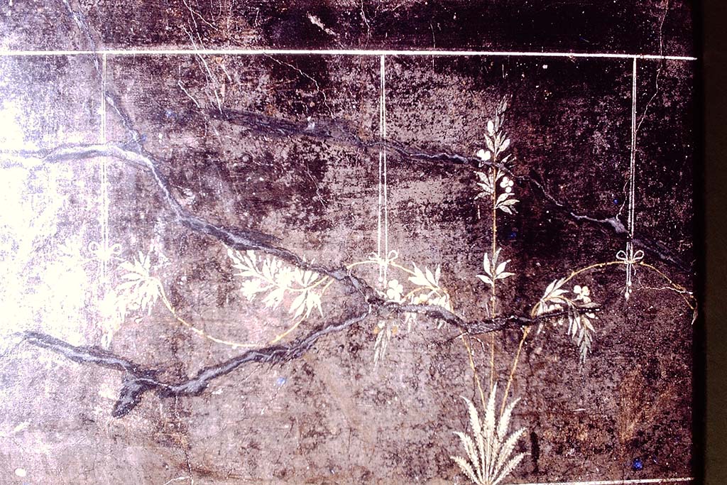 Villa Agrippa Postumus. Boscotrecase. 1975. Detail of zoccolo. Photo by Stanley A. Jashemski.   
Source: The Wilhelmina and Stanley A. Jashemski archive in the University of Maryland Library, Special Collections (See collection page) and made available under the Creative Commons Attribution-Non Commercial License v.4. See Licence and use details.
J75f0560