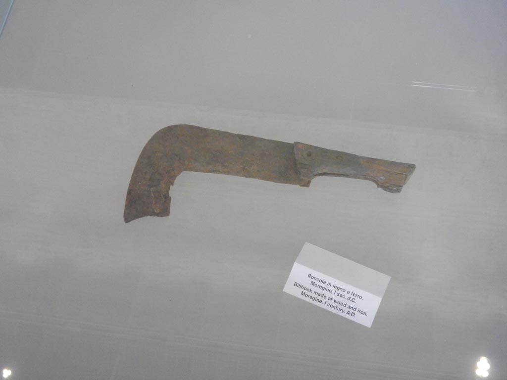 Complesso dei triclini in località Moregine a Pompei. May 2018. Wood and iron billhook.
Photo courtesy of Buzz Ferebee.