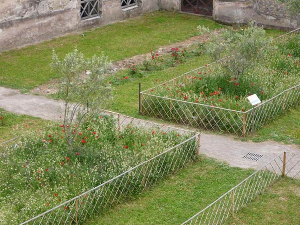 Oplontis, May 2010. Looking south-east across north garden towards the trellised areas, the pathway (left to right) leads towards the exedra room 69 in the east. Photo courtesy of Buzz Ferebee.