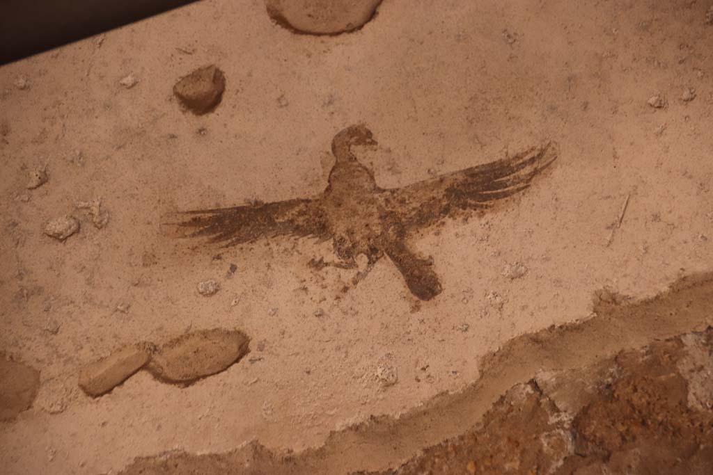 Oplontis Villa of Poppea, October 2020. 
Room 4, detail of painted bird from upper west wall, left of centre. Photo courtesy of Klaus Heese.