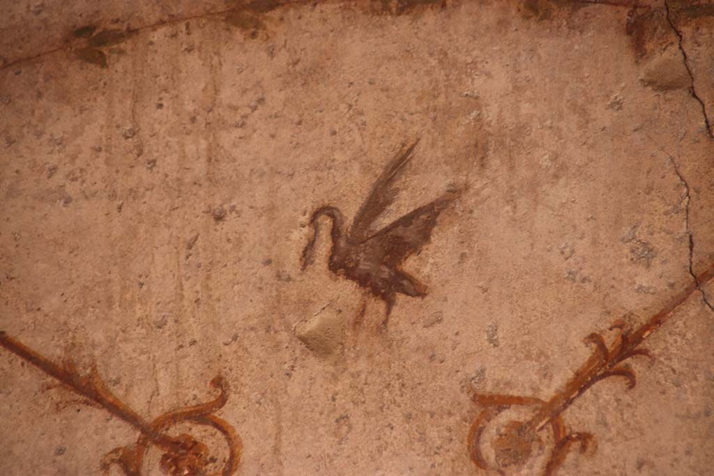 Oplontis Villa of Poppea, October 2020. Room 4, detail of painted swan on north wall in north-west corner. 
Photo courtesy of Klaus Heese.