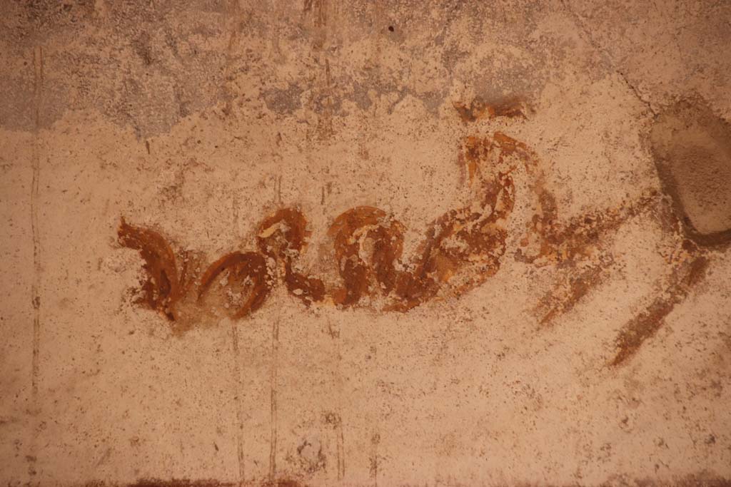 Oplontis Villa of Poppea, October 2020. Room 4, detail of painted decoration on north wall in north-west corner. Photo courtesy of Klaus Heese.