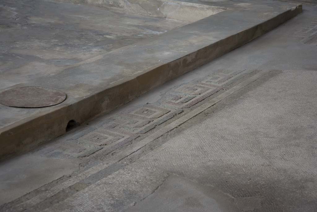 Oplontis Villa of Poppea, March 2019. Room 5, mosaic flooring in atrium near the edge of the impluvium.
Foto Annette Haug, ERC Grant 681269 DÉCOR.