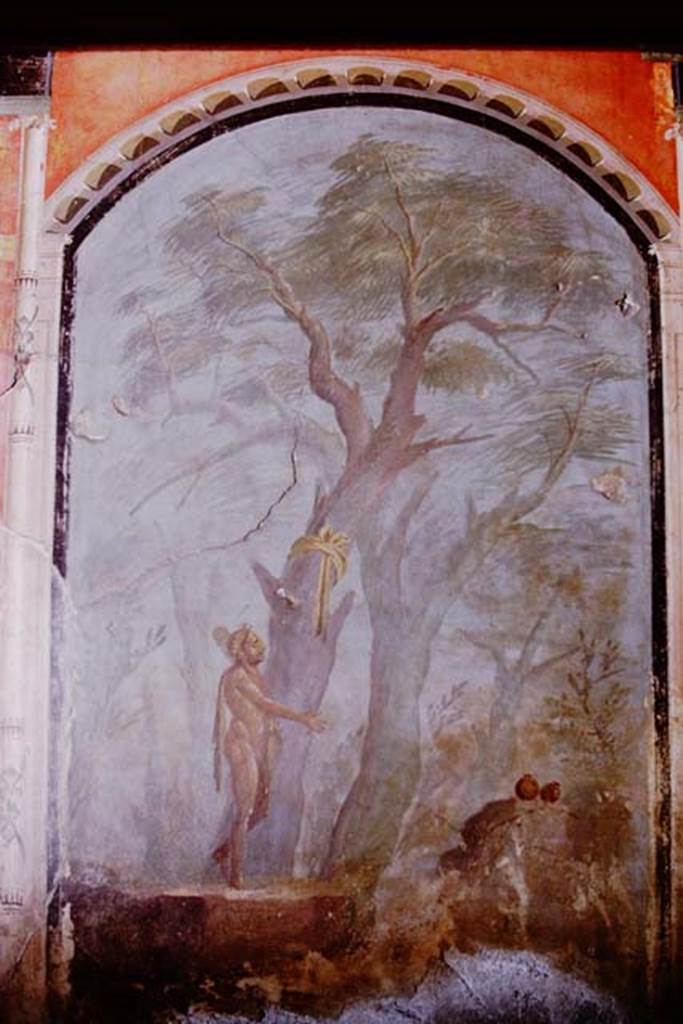 Oplontis, 1973. Detail from Hercules in the Garden of the Hesperides. Photo by Stanley A. Jashemski. 
Source: The Wilhelmina and Stanley A. Jashemski archive in the University of Maryland Library, Special Collections (See collection page) and made available under the Creative Commons Attribution-Non Commercial License v.4. See Licence and use details. J73f0374